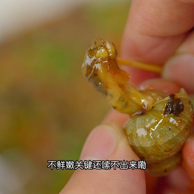 香螺怎么做好吃又简单视频，香螺怎么做好吃又简单