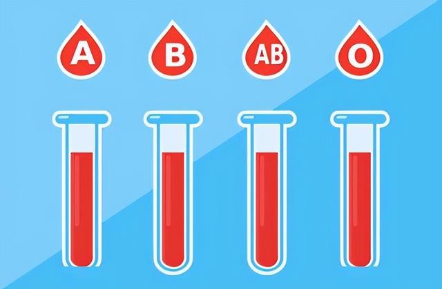 哪种血型的人免疫力最强？血型有几个血型？