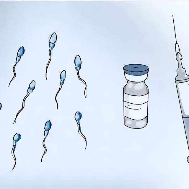 关爱男性健康：这些精子知识你真的了解吗？